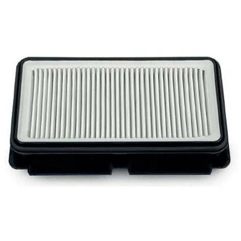 Filtre HEPA (255105-49713) (ZR902501) Aspirateur ROWENTA, TEFAL 3 Filtre HEPA (255105-49713) (ZR902501) Aspirateur ROWENTA, TEFAL