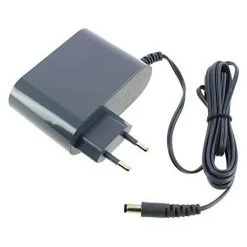 Chargeur Pour Aspirateurs Balai X-Force Flex 11.60 Rowenta