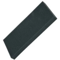 Filtre Mousse (RS-RT4379) Aspirateur ROWENTA