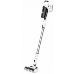 ASPI BALAIS ROWENTA RH6935WO